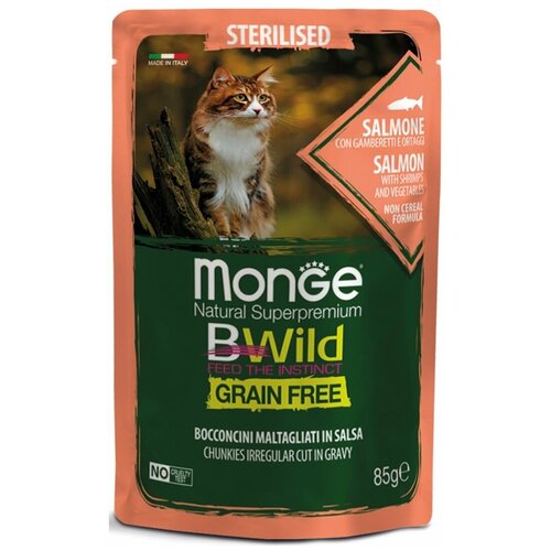      Monge BWild Grain Free       85    -     , -  