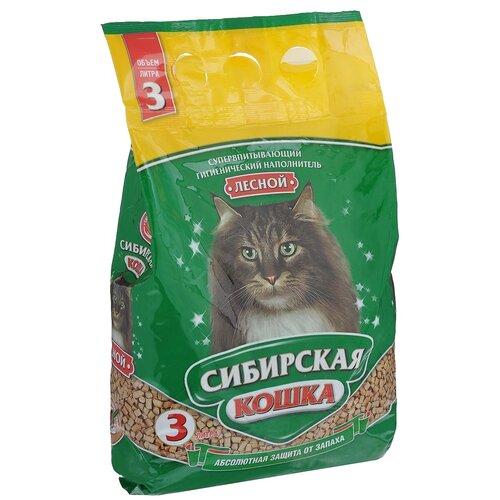 ���� ����������� ����������� ��������� ����� ������, 3�, 1 ��., ������ ������