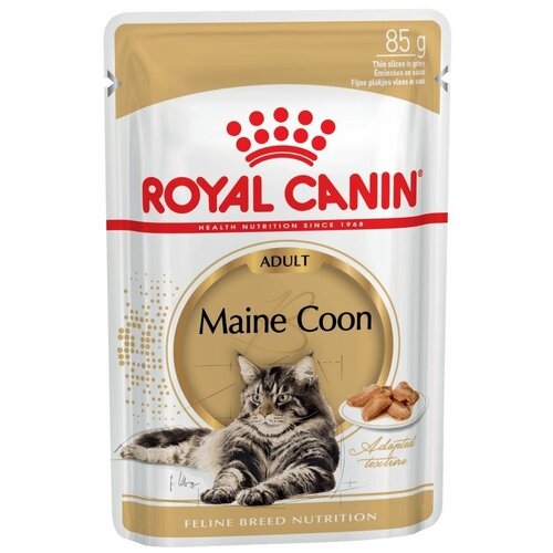   Royal Canin Maine Coon Adult      85    -     , -,   