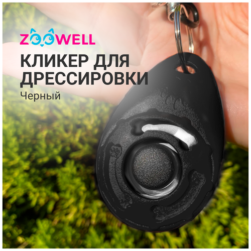     ZooWell,   , , 6*4*2   -     , -  