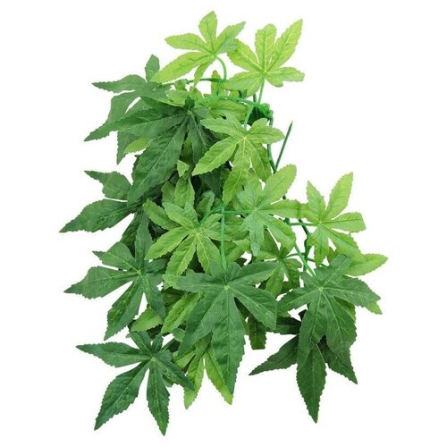 ���� �������� ��� ���������� 