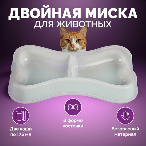 ���� ������� ����� ��� ����� � ����� � ����� �������� ����� 350 ��., ������ ������