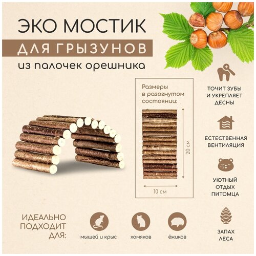 ���� ����� ������ ��� �������� � ������ ��� �������, ����, ����, ������� ������, �������, ����, �������, �������� 20�10��, Zoobaloo, ������ ������