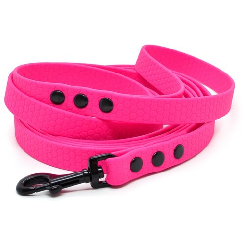 ���� ������� �� ������� 5 �, ������ 16 ��, Woofy 