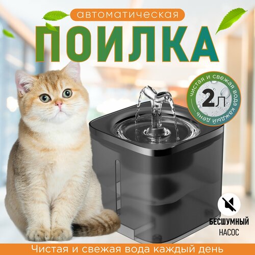 ���� ������/������ ��� �����/������ ��� �����/������ ������/�������������� ������/������ ������ ��� �����, ������ ������