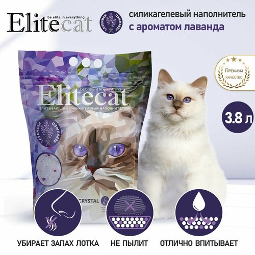        ELITECAT 