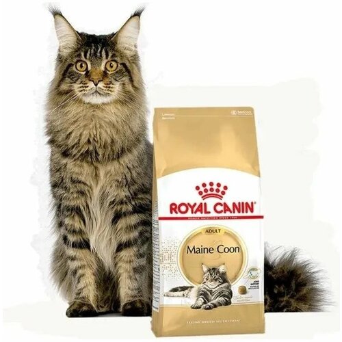    Royal Canin 25500200R0   -     , -,   