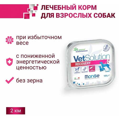    Monge VetSolution Dog Recovery            150 , 12 .   -     , -  