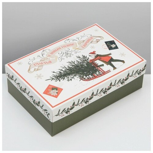 ���� ������� �������� ������, 30 ? 20 ? 9 ��, ������ ������