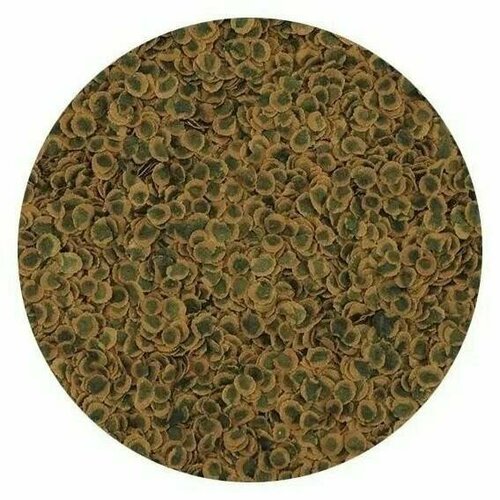 ���� TetraPro Algae Multi- Crisps 100 ��. ����-����� ��� ���� ����� ��� 138827, ������ ������