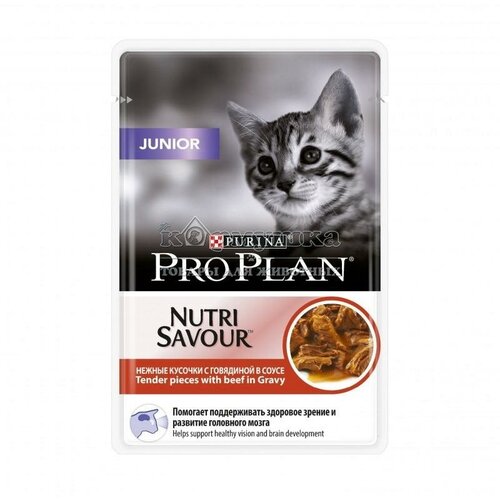  Pro Plan   PRO PLAN JUNIOR  ,   , , 85    -     , -,   