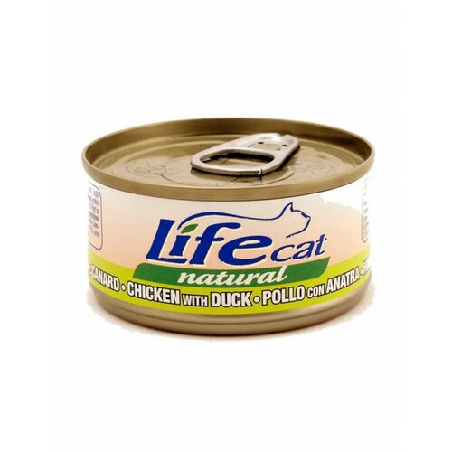  Life Cat         85    -     , -,   