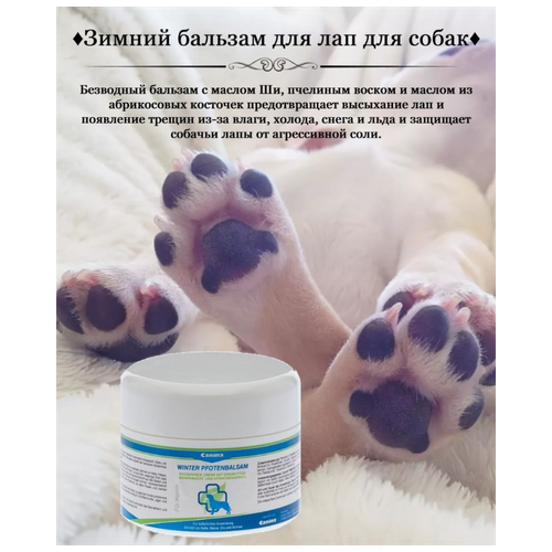      Canina WINTER PFOTENBALSAM (100 )   -     , -,   