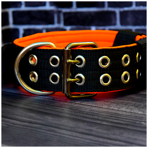 ���� ������� c ������ ��� ����� ������� � ������� �����. ������ 5 ��. ������ 35-47 ��., ������ ������