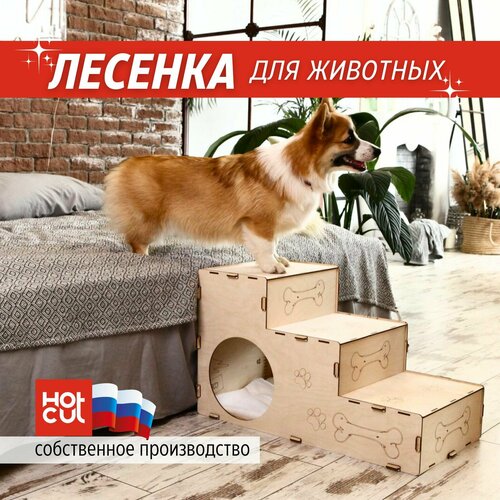 ���� �������� ������������ ��� �������� ����� � ����� ����������, ������ ������