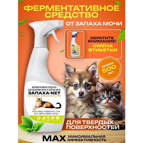 ���� ������������� ������ ���� � ����� �������� ���������, ������ ������