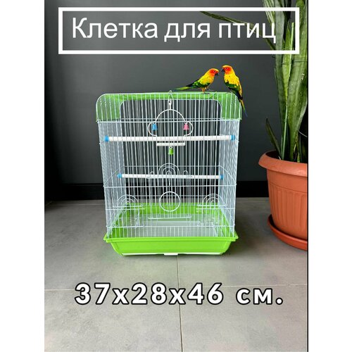 ���� ������ ��� ����, 37�28�46 ��, ��������� ������, ��������, ������-��������, ��������, ������, �������, ������ ������