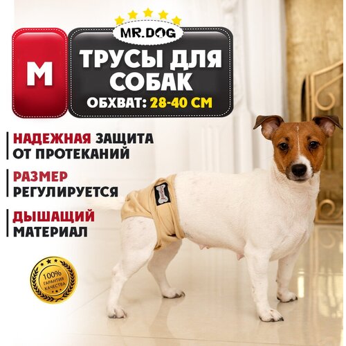      Mr Dog  ,   ,   , M