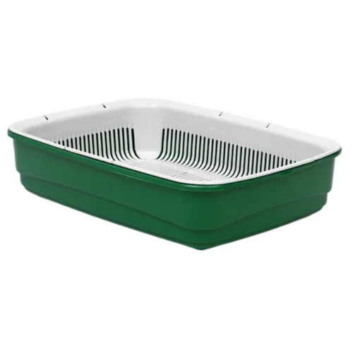 ���� �������� ������ ��� ����� �������� ����� ��������, ������ ������