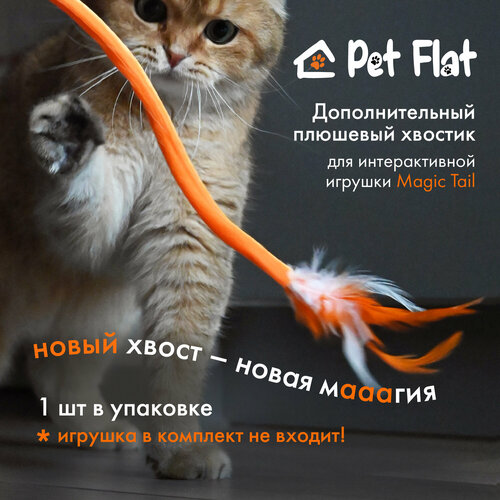       Magic Tail Pet Flat   -     , -  