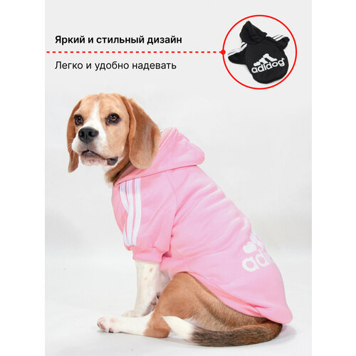 ���� ���������-���� ��� ����� � ����� ������ ��� �������� ������ (�����) � ���������, ������ ������