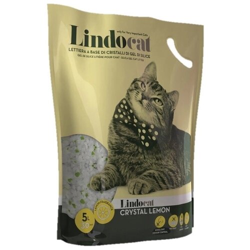  LINDOCAT CRYSTAL LEMON          (5 )