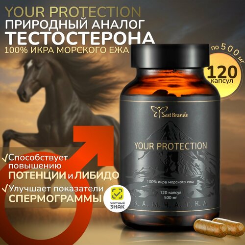  YOUR PROTECTION - 100%   .    . (120 )   -     , -  