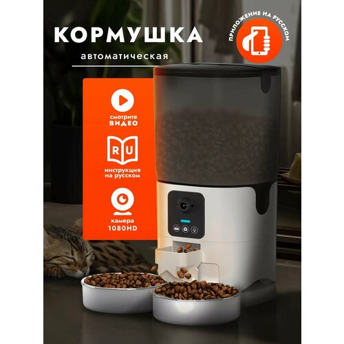 ���� �������� ��� �������� � ������� 7 �, ������ ������