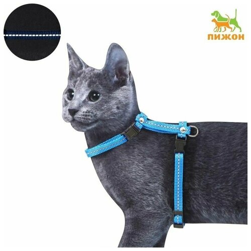 ���� ����� ������ ��� �����, ������ 1 ��, ���������������, �� 16,5-27 ��, �� 21-35 ��, �����, ������ ������