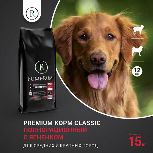      ( )     PUMI-RUMI CLASSIC ,  12 , 15 .   -     , -  