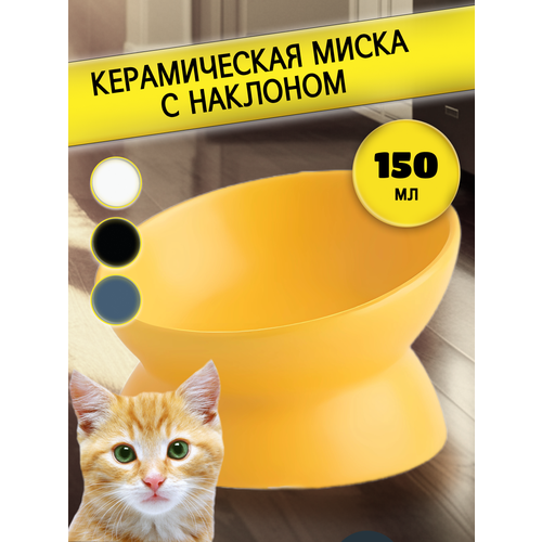 ���� ������������ ����� ��� ����� � �������� ������, ������ ������