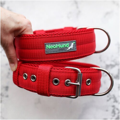 ���� ������� ��� ����� NeoHund ������� 4,8 ��, ��� ������� � ������� �����, ���� �������, ������ ��� 38-50 ��, ������ ������