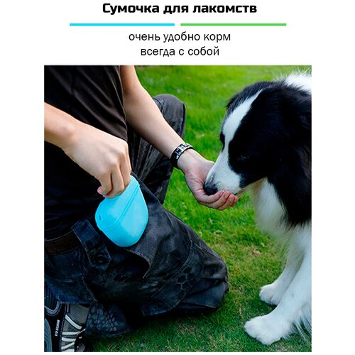 ���� ������� ��� �������� ����������� � ��������� ������ - �������, ������ ������