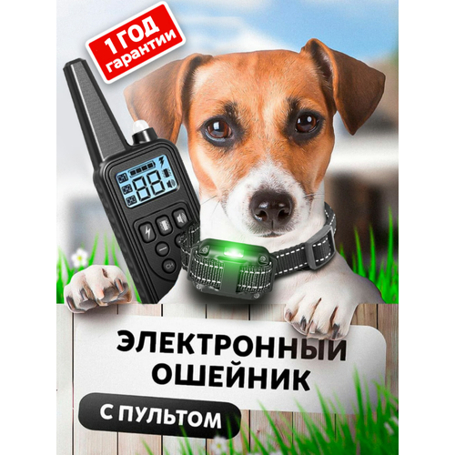 ���� ������� ����������� �������������� ��� ����� ������, ������ ������