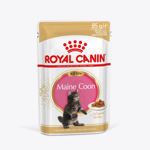   Royal Canin         15  MAINE COON KITTEN (  ),    , 2885   -     , -  