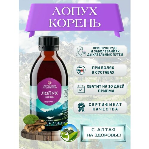 ���� ������ ������, ������ ������