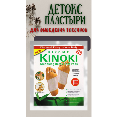 ���� �������� ��� ���� � ������� AnigiN - 10 ����, ������ ������