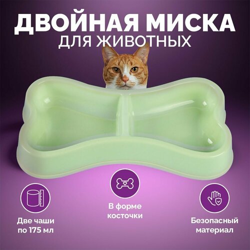 ���� ������� ����� ��� ����� � ����� � ����� �������� ������ 350 ��., ������ ������