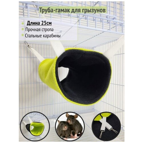 ���� �����-����� ��� �������� 