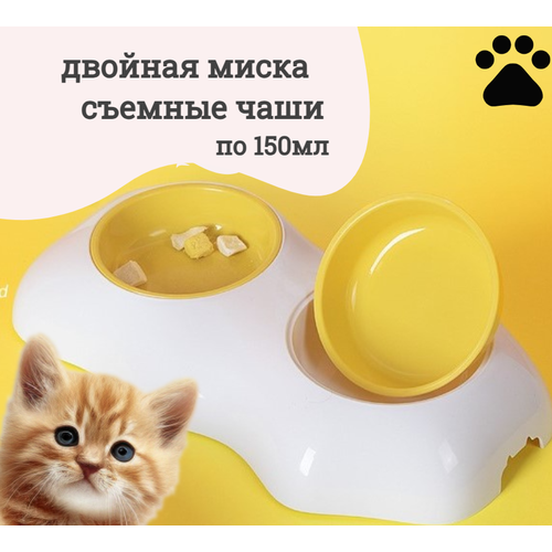 ���� ����� ��� ����� � ����� ������� �� ��������� ������� ���� ���� �����, ������ ������