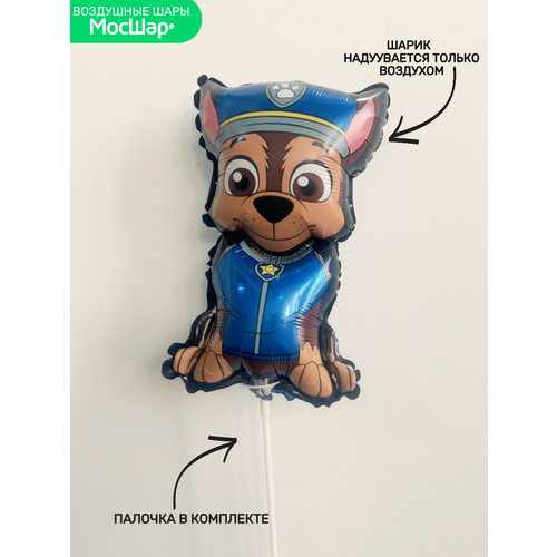 ���� ��� �� ������� ���� ������ ������� ������� ����, ������ ������