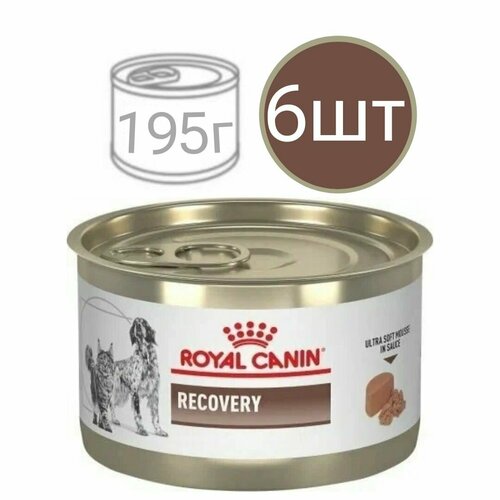        , Royal Canin Recovery ,      (6  195)   -     , -  