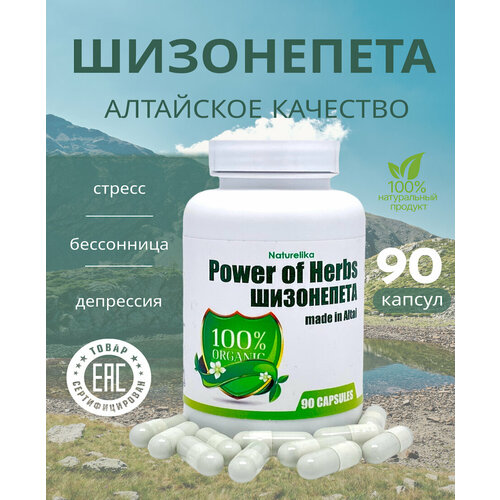 ���� ����������, ������ ������