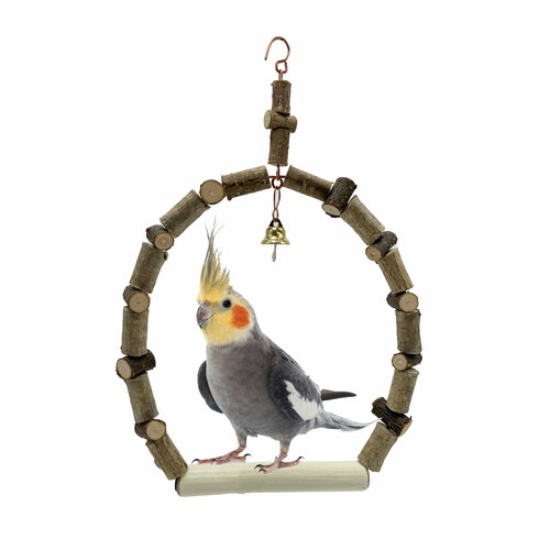 ���� ������ ��� �������� � ���� � �������������, ������ ������