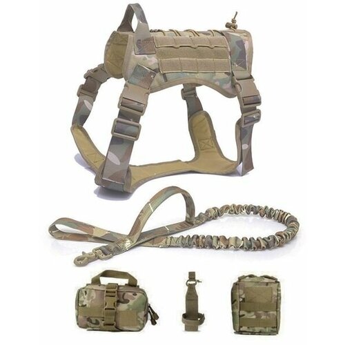 ���� ������ ��� �����, ������� � ������� �����. ����������� � ������, ������� ����� � ��������. ������ L, ��������, ������ ������