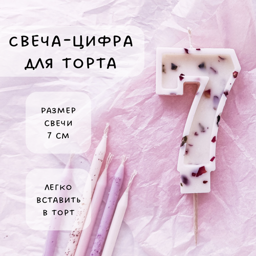 ���� ����� ��� ����� ����� 7, ������ ������, 1��, ������ ������