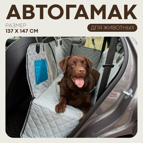 ���� ���������� ��� ��������������� ����� � �����, ����� ��������, ����� ��������� 137�147, ������ ������