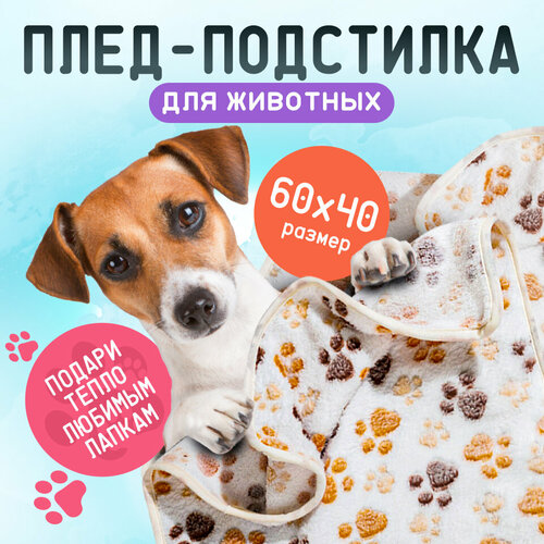 ���� ����-��������� �������� 60�40 ��/��������� � ������� ��� �����, �����, �������� ������ �����, ������, �����/����, ���������, ������ ��� ��������, ������ ������