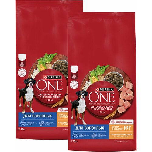  PURINA ONE            (10 + 10 )   -     , -  