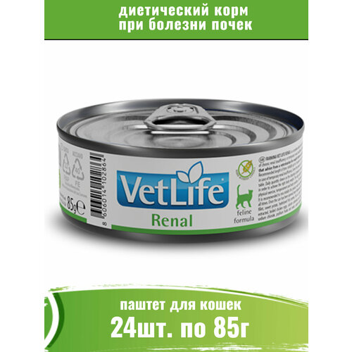  Farmina Vet Life Cat Renal 24  85         -     , -  